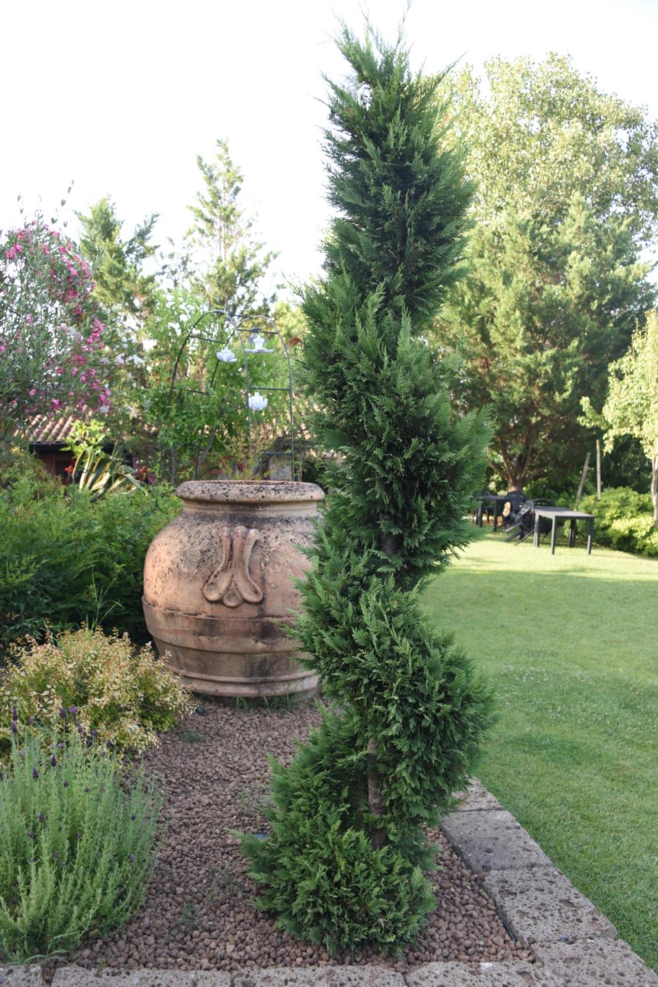 Bosco D'Olmi Country House Sant'Andrea del Garigliano Екстериор снимка