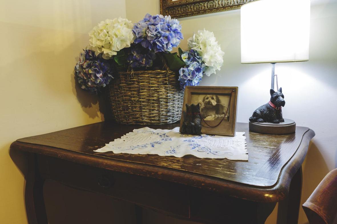 Bosco D'Olmi Country House Sant'Andrea del Garigliano Екстериор снимка